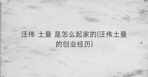 “汪伟土曼是怎么起家的(汪伟土曼的创业经历)